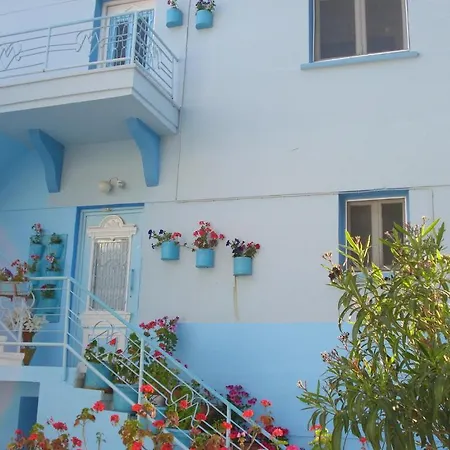 Mavi Pension بيت ضيافة *
