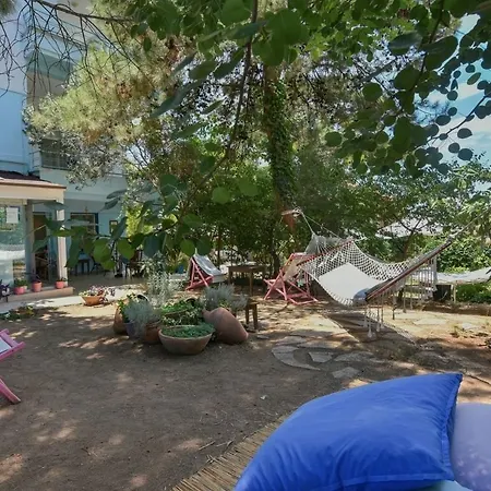 Mavi Pension ゲストハウス