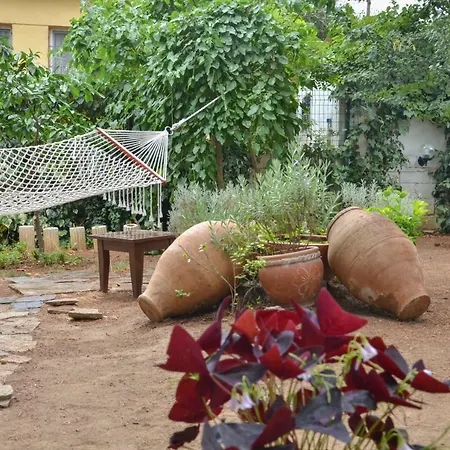 Mavi Pension ゲストハウス