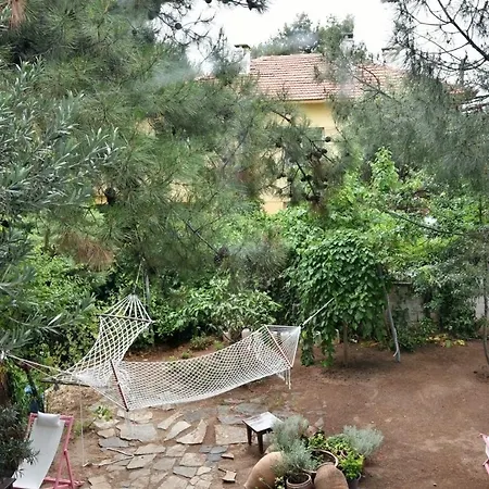 Mavi Pension ゲストハウス Ayvalı